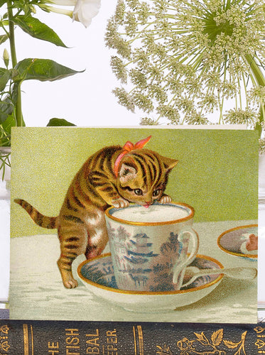 KITTY LITTLE VINTAGE GREETING CARD