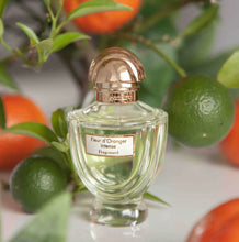 Load image into Gallery viewer, Fragonard Fleur d’Oranger EDP 50ml