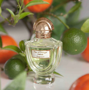 Fragonard Fleur d’Oranger EDP 50ml