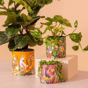 LaLa Land Planter - Medium