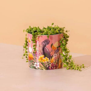 La La Land Planter - Small