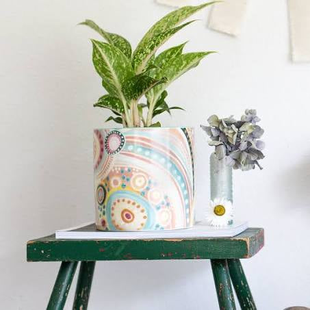 LaLa Land Planter - Medium