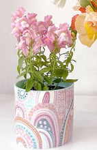 Load image into Gallery viewer, La La Land Planter - Small